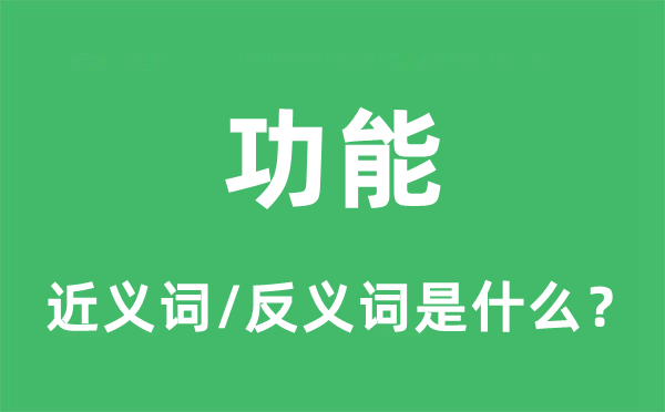 功能的近义词和反义词是什么,功能是什么意思