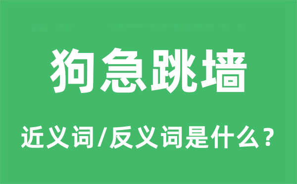 狗急跳墙的近义词和反义词是什么,狗急跳墙是什么意思