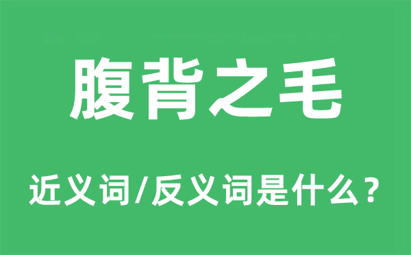 腹背之毛的近义词和反义词是什么,腹背之毛是什么意思