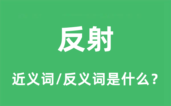 反射的近义词和反义词是什么,反射是什么意思