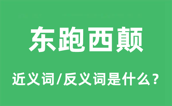 东跑西颠的近义词和反义词是什么,东跑西颠是什么意思