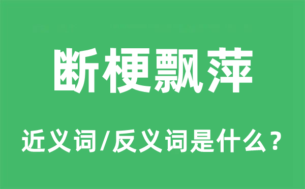 断梗飘萍的近义词和反义词是什么,断梗飘萍是什么意思