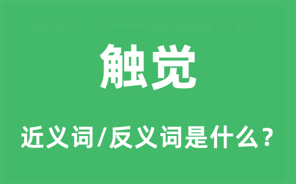 触觉的近义词和反义词是什么,触觉是什么意思