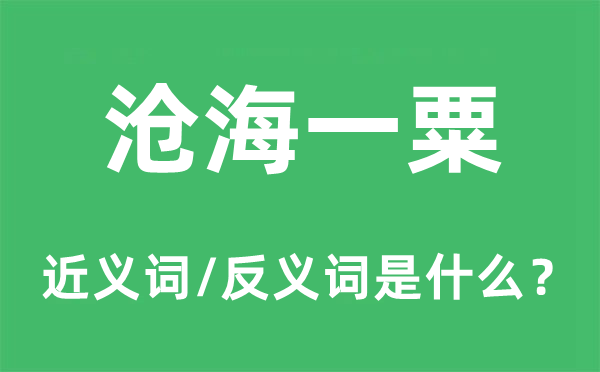 沧海一粟的近义词和反义词是什么,沧海一粟是什么意思