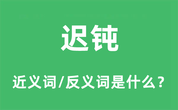 迟钝的近义词和反义词是什么,迟钝是什么意思