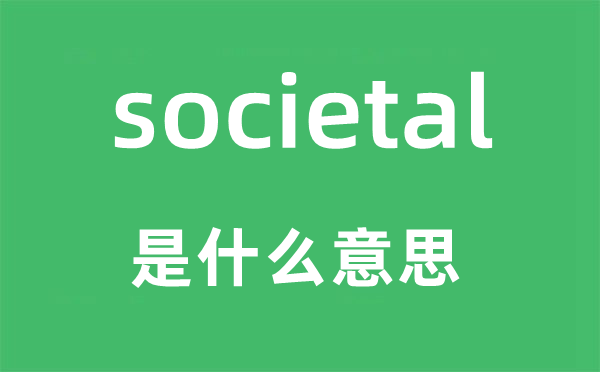 societal是什么意思,societal怎么读,中文翻译是什么