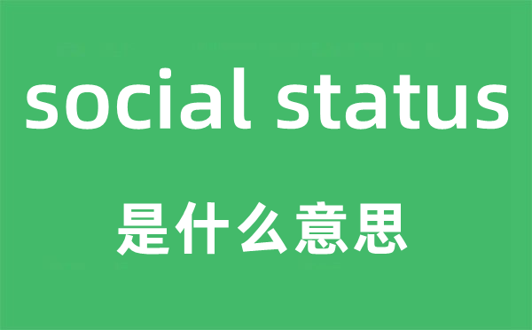 social status是什么意思,中文翻译是什么