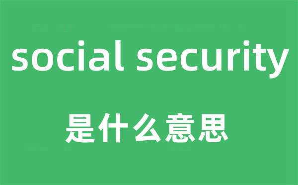 social security是什么意思,中文翻译是什么