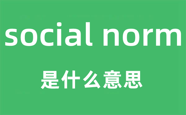 social norm是什么意思,中文翻译是什么