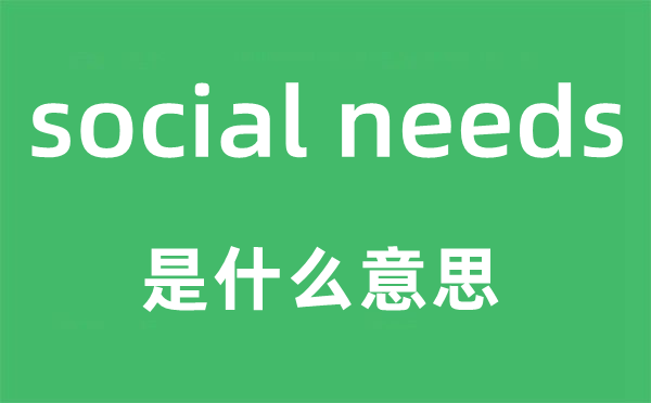 social needs是什么意思,中文翻译是什么