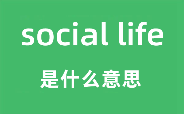 social life是什么意思,中文翻译是什么