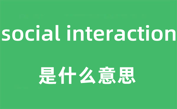 social interaction是什么意思,中文翻译是什么