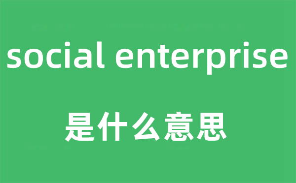 social enterprise是什么意思,中文翻译是什么