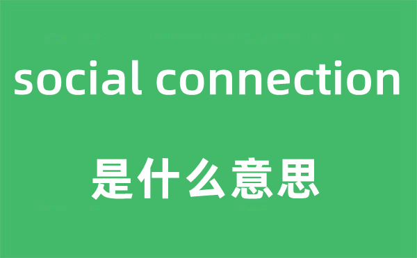 social connection是什么意思,中文翻译是什么