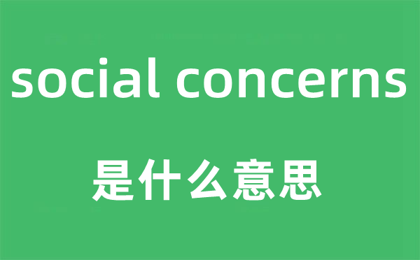 social concerns是什么意思,中文翻译是什么