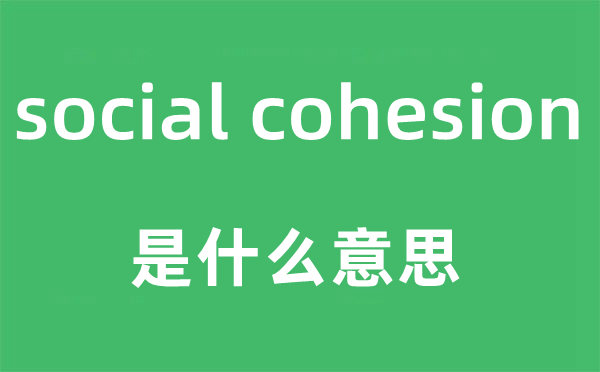 social cohesion是什么意思,中文翻译是什么