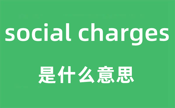 social charges是什么意思,中文翻译是什么