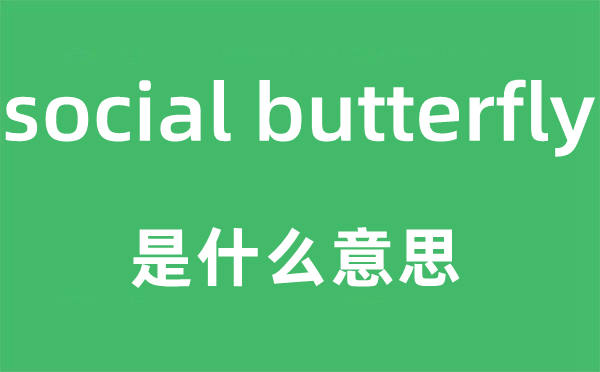 social butterfly是什么意思,中文翻译是什么