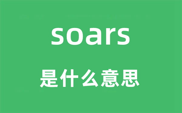 soars是什么意思,soars怎么读,中文翻译是什么