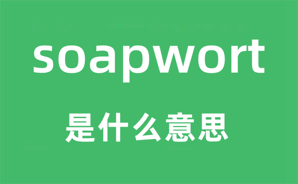 soapwort是什么意思,soapwort怎么读,中文翻译是什么