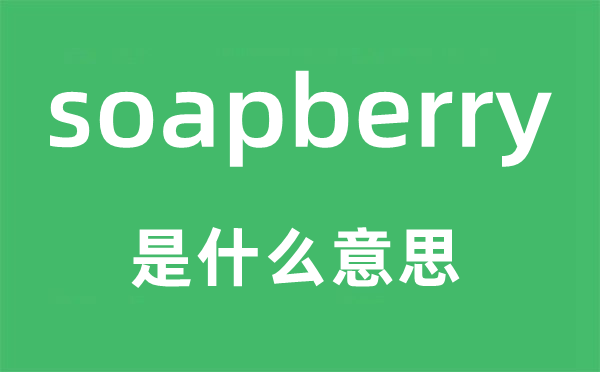 soapberry是什么意思,soapberry怎么读,中文翻译是什么