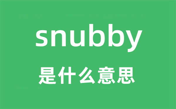 snubby是什么意思,snubby怎么读,snubby中文翻译是什么