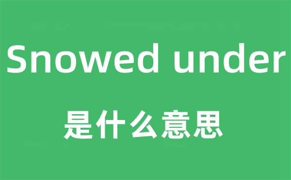 Snowed under是什么意思,Snowed under怎么读,Snowed under中文翻译是什么