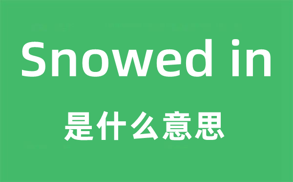 Snowed in是什么意思,Snowed in怎么读,Snowed in中文翻译是什么