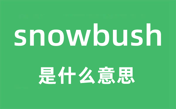 snowbush是什么意思,snowbush怎么读,snowbush中文翻译是什么