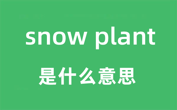 snow plant是什么意思,snow plant怎么读,snow plant中文翻译是什么