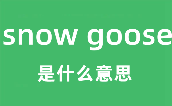 snow goose是什么意思,snow goose怎么读,snow goose中文翻译是什么