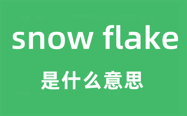 snow flake是什么意思,snow flake怎么读,snow flake中文翻译是什么