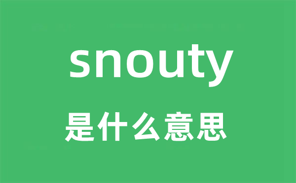 snouty是什么意思,snouty怎么读,snouty中文翻译是什么