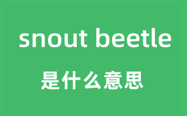 snout beetle是什么意思,snout beetle怎么读,snout beetle中文翻译是什么