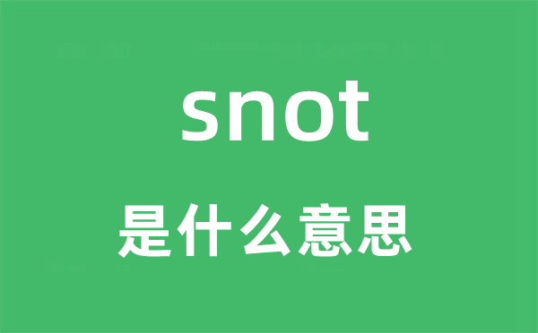 snot是什么意思,snot怎么读,snot中文翻译是什么