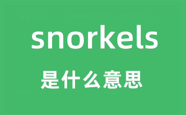 snorkels是什么意思,snorkels怎么读,snorkels中文翻译是什么