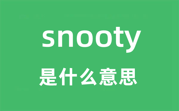 snooty是什么意思,snooty怎么读,snooty中文翻译是什么