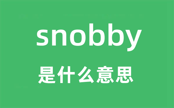 snobby是什么意思,snobby怎么读,snobby中文翻译是什么