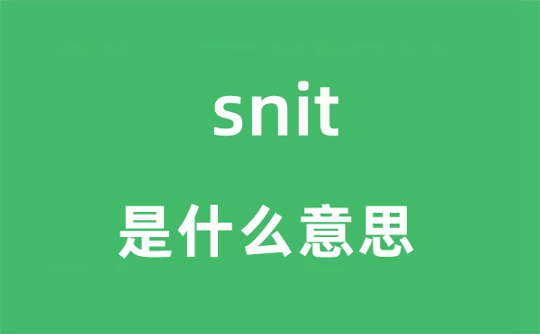 snit是什么意思,snit怎么读,snit中文翻译是什么