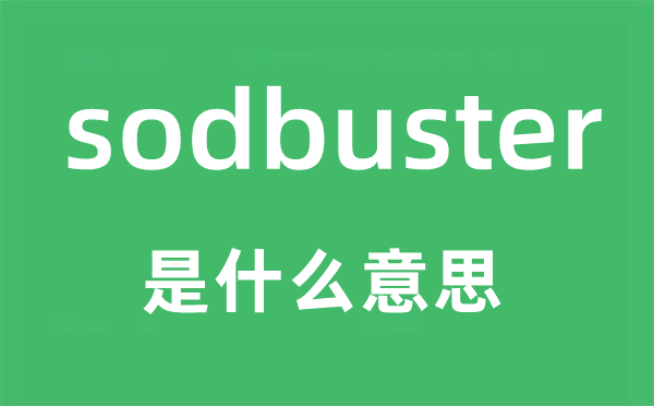 sodbuster是什么意思,sodbuster怎么读,sodbuster中文翻译是什么