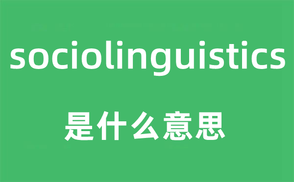 sociolinguistics是什么意思,sociolinguistics怎么读,sociolinguistics中文翻译是什么