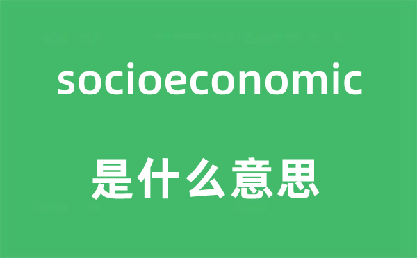 socioeconomic是什么意思,socioeconomic怎么读,socioeconomic中文翻译是什么