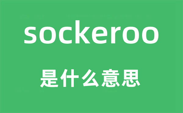 sockeroo是什么意思,sockeroo怎么读,sockeroo中文翻译是什么