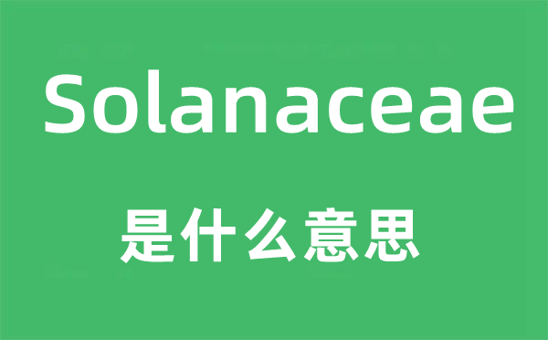 Solanaceae是什么意思,Solanaceae怎么读,中文翻译是什么