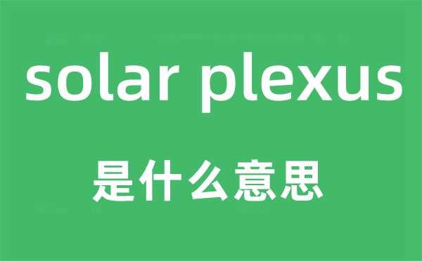 solar plexus是什么意思,中文翻译是什么