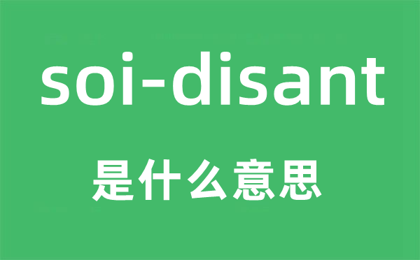 soi-disant是什么意思,中文翻译是什么