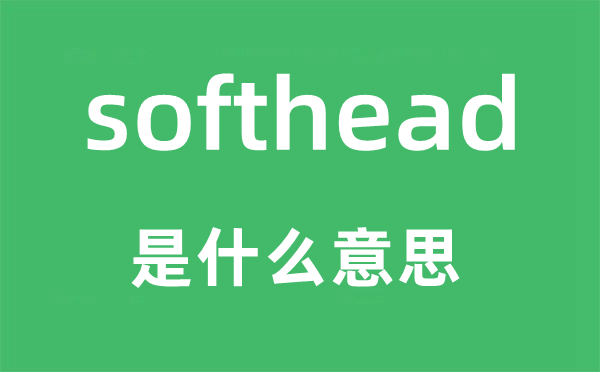 softhead是什么意思,softhead怎么读,中文翻译是什么