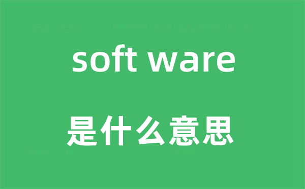 soft ware是什么意思,中文翻译是什么