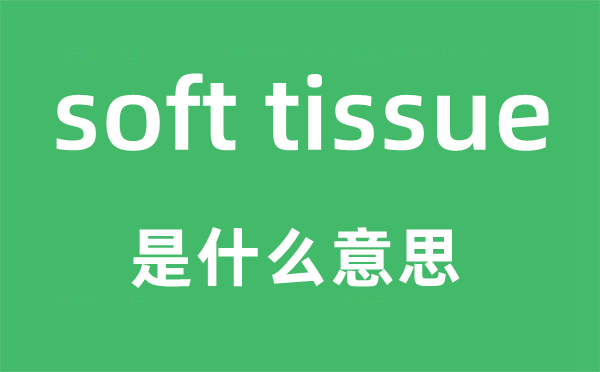 soft tissue是什么意思,中文翻译是什么