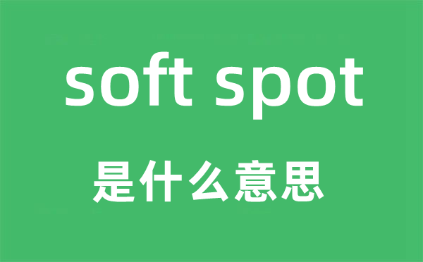 soft spot是什么意思,中文翻译是什么